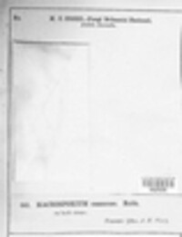 Image Associated With the Occurence